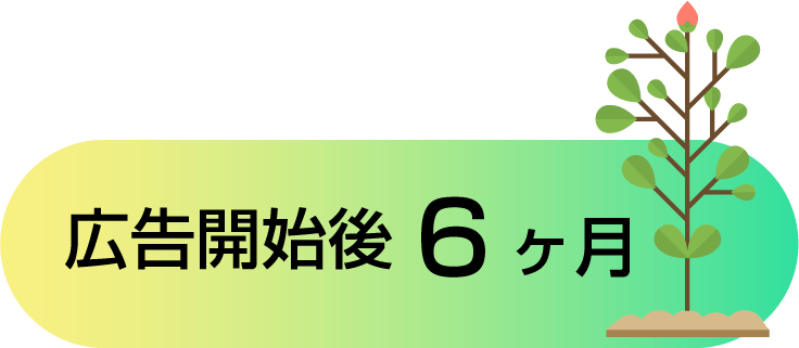 広告開始後6ヶ月